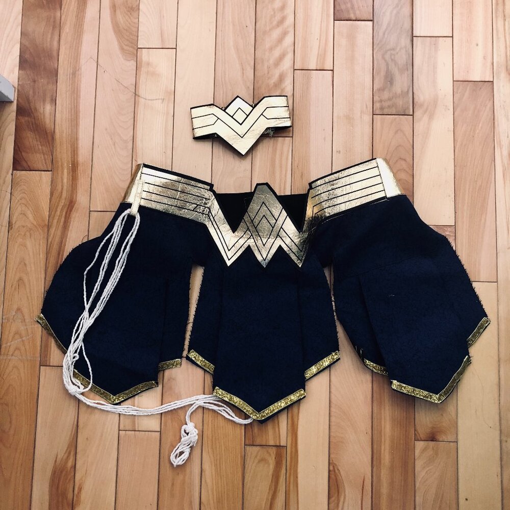 Wonder Woman Costume Adult Woman Large 10-12 Amscan | Dress & Lasso Partial Set